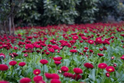 Прикрепленное изображение: IMG_2072.jpg